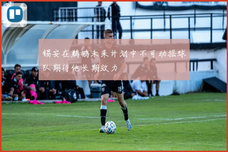 锡安在鹈鹕未来计划中不可动摇球队期待他长期效力