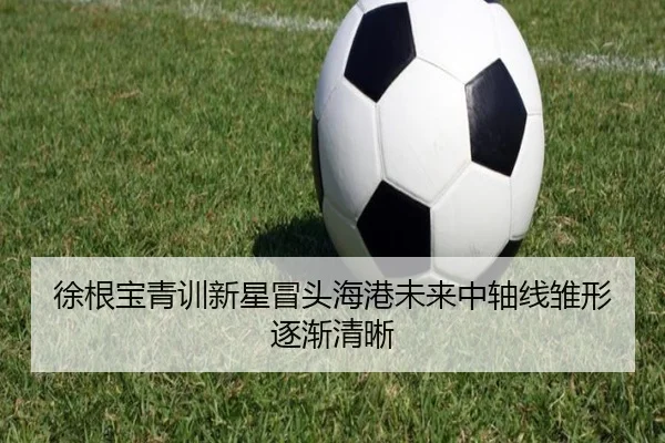 徐根宝青训新星冒头海港未来中轴线雏形逐渐清晰
